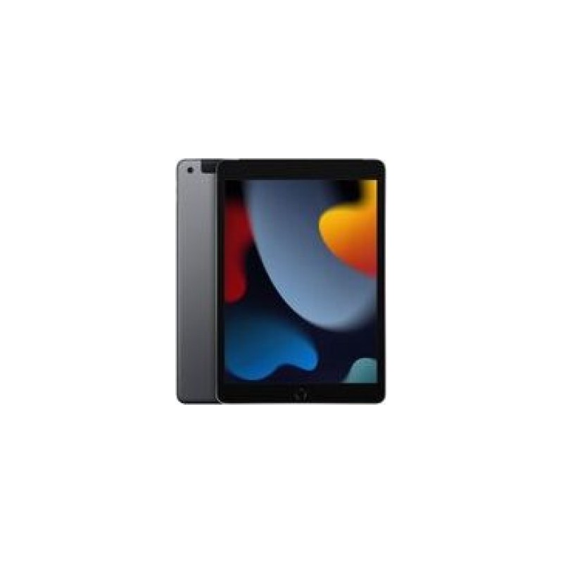 10.2-Inch Ipad Wi-Fi + Cellular 256Gb - Gwiezdna Szarość